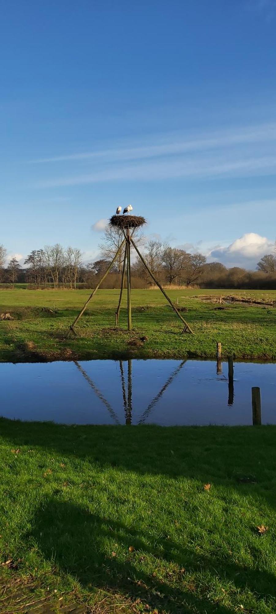 Вилла Boerderijtje IJhorst Экстерьер фото